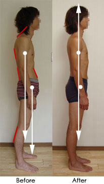 The human body aligned in the field of gravity